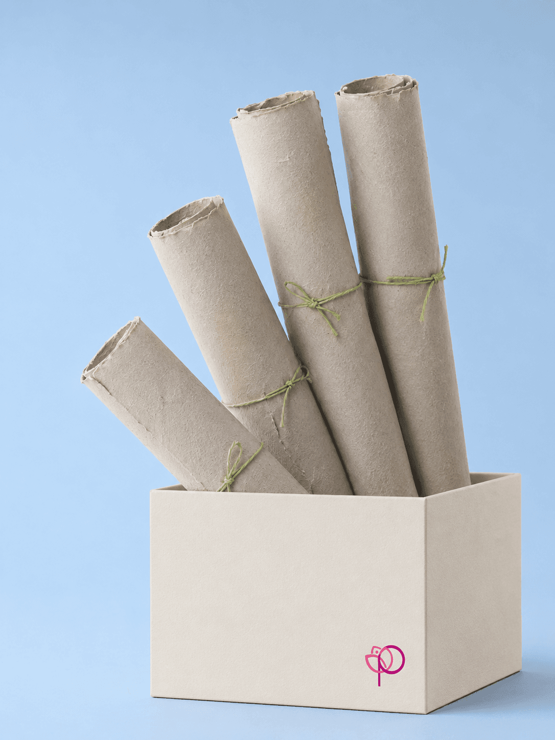 Paper Roll